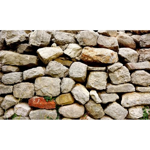 Riivvdise Stein-Aquarium-Hintergrund, Naturstein, Aquarium-Hintergrund, Steinmauer mit Sonnenstrahlen, Aquarium-Hintergrund, Stein, Felsen, Reptilien, Lebensraum, Poster, 91,4 x 45,7 cm Riivvdise Stein-Aquarium-Hintergrund, Naturstein, Aquarium-Hintergrund, Steinmauer mit Sonnenstrahlen, Aquarium-Hintergrund, Stein, Felsen, Reptilien, Lebensraum, Poster, 91,4 x 45,7 cm von Riivvdise