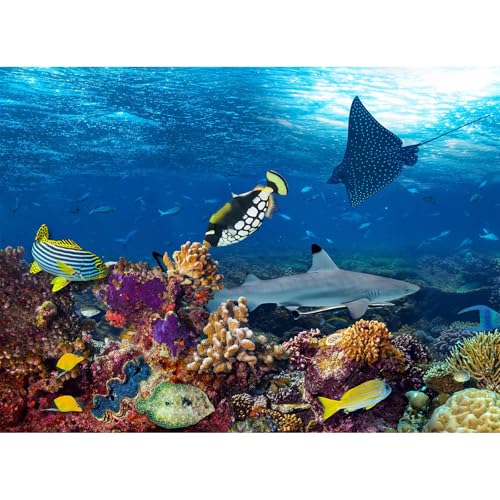 Riivvdise Unterwasser-Aquarium-Hintergrund, tropische Fische, Korallenriff-Terrarium, Hintergrund unter dem Meer, Welt-Thema, Fisch-Hintergrund, Hai, blaues Meer mit Sonnenstrahlen, Riivvdise Unterwasser-Aquarium-Hintergrund, tropische Fische, Korallenriff-Terrarium, Hintergrund unter dem Meer, Welt-Thema, Fisch-Hintergrund, Hai, blaues Meer mit Sonnenstrahlen, von Riivvdise