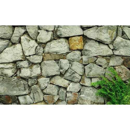 Stein-Aquarium-Hintergrund, Naturstein, Aquarium-Hintergrund, Felsen, Terrarium, Hintergrund, Stein, Reptilien, Lebensraum, Poster, Steinmauer mit grünem Gras, Aquarium-Hintergrund, 76,2 x 45,7 cm Stein-Aquarium-Hintergrund, Naturstein, Aquarium-Hintergrund, Felsen, Terrarium, Hintergrund, Stein, Reptilien, Lebensraum, Poster, Steinmauer mit grünem Gras, Aquarium-Hintergrund, 76,2 x 45,7 cm von Riivvdise
