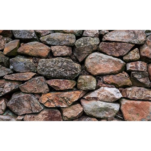 Stein-Aquarium-Hintergrund, Naturstein, Aquarium-Hintergrund, Felsglas-Terrarium, Hintergrund, Stein, Reptilien, Lebensraum, Poster, Steinmauer, Aquarium-Hintergrund, Poster, Tapete, 76,2 x 45,7 cm Stein-Aquarium-Hintergrund, Naturstein, Aquarium-Hintergrund, Felsglas-Terrarium, Hintergrund, Stein, Reptilien, Lebensraum, Poster, Steinmauer, Aquarium-Hintergrund, Poster, Tapete, 76,2 x 45,7 cm von Riivvdise