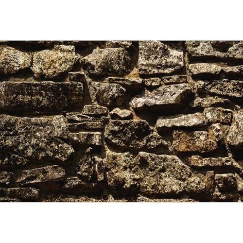 Stone Rock Aquarium Hintergrund Vintage Retro Rock Fish Tank Hintergrund Natürlicher Felsen Terrarium Hintergrund für Tank Hintergrund Poster Dekorationen Retro Rock Reptilien Lebensraum Hintergrund Stone Rock Aquarium Hintergrund Vintage Retro Rock Fish Tank Hintergrund Natürlicher Felsen Terrarium Hintergrund für Tank Hintergrund Poster Dekorationen Retro Rock Reptilien Lebensraum Hintergrund von Riivvdise