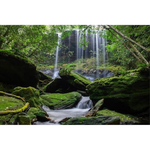 Wasserfall-Aquarium-Hintergrund, Dschungel, Wald, Bach, Landschaft, Terrarium, tropische Pflanzen, Felsen mit üppigem Moos, Aquarium-Hintergrund, Dschungel, Reptilien, Lebensraum, Poster, Vinyl, 61 x Wasserfall-Aquarium-Hintergrund, Dschungel, Wald, Bach, Landschaft, Terrarium, tropische Pflanzen, Felsen mit üppigem Moos, Aquarium-Hintergrund, Dschungel, Reptilien, Lebensraum, Poster, Vinyl, 61 x von Riivvdise