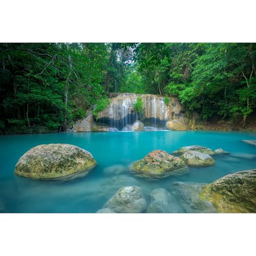 Wasserfall-Aquarium-Hintergrund, Dschungel, Wald, Bach, Terrarium, üppige grüne Bäume, riesige Felsen, Aquarium-Hintergrund, natürliche Wasserfälle, Landschaft, Regenwald, Reptilien, Lebensraum, Wasserfall-Aquarium-Hintergrund, Dschungel, Wald, Bach, Terrarium, üppige grüne Bäume, riesige Felsen, Aquarium-Hintergrund, natürliche Wasserfälle, Landschaft, Regenwald, Reptilien, Lebensraum, von Riivvdise