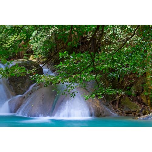 Wasserfall-Aquarium-Hintergrund, Dschungel, Wald, Bachlauf, Terrarium, Hintergrund, Felsfälle, grüne Bäume, Aquarium-Hintergrund, natürlicher Wasserfall, Waldlandschaft, Aquarium-Hintergrund, Tapete, Wasserfall-Aquarium-Hintergrund, Dschungel, Wald, Bachlauf, Terrarium, Hintergrund, Felsfälle, grüne Bäume, Aquarium-Hintergrund, natürlicher Wasserfall, Waldlandschaft, Aquarium-Hintergrund, Tapete, von Riivvdise
