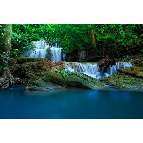 Wasserfall-Aquarium-Hintergrund, Dschungel, Wald, Bachlauf, Terrarium, Hintergrund, große Felsen, grüne Bäume, Aquarium-Hintergrund, natürlicher Wasserfall, Waldlandschaft, Aquarium-Hintergrund, Wasserfall-Aquarium-Hintergrund, Dschungel, Wald, Bachlauf, Terrarium, Hintergrund, große Felsen, grüne Bäume, Aquarium-Hintergrund, natürlicher Wasserfall, Waldlandschaft, Aquarium-Hintergrund, von Riivvdise