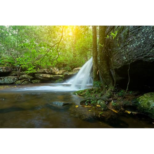 Wasserfall-Aquarium-Hintergrund, Dschungel, Wald, Bachlauf, Terrarium, Höhle mit üppigen grünen Bäumen, Felsen, Aquarium-Hintergrund, Wasserfall, Sonnenstrahlen, natürliche Landschaften, Wasserfall-Aquarium-Hintergrund, Dschungel, Wald, Bachlauf, Terrarium, Höhle mit üppigen grünen Bäumen, Felsen, Aquarium-Hintergrund, Wasserfall, Sonnenstrahlen, natürliche Landschaften, von Riivvdise