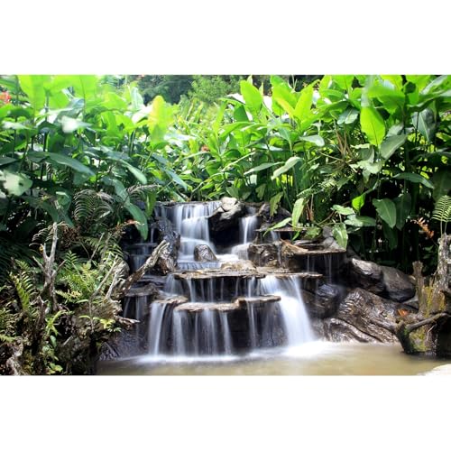 Wasserfall-Aquarium-Hintergrund, Gartenstil, üppige grüne Pflanzen, Terrarium, Hintergrund, Wasserfall, Bachlauf, Dschungel, Felsen, Aquarium-Hintergrund, Garten, Landschaft, Reptilien-Lebensraum, Wasserfall-Aquarium-Hintergrund, Gartenstil, üppige grüne Pflanzen, Terrarium, Hintergrund, Wasserfall, Bachlauf, Dschungel, Felsen, Aquarium-Hintergrund, Garten, Landschaft, Reptilien-Lebensraum, von Riivvdise