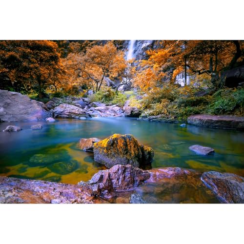Wasserfall-Aquarium-Hintergrund, Herbst, Dschungel, Wald, See, Bach, natürliche Landschaft, Terrarium, ruhiger Fluss, riesige Felsen, Aquarium-Hintergrund, Herbstwald, Thema, Reptilienhintergrund, 122 Wasserfall-Aquarium-Hintergrund, Herbst, Dschungel, Wald, See, Bach, natürliche Landschaft, Terrarium, ruhiger Fluss, riesige Felsen, Aquarium-Hintergrund, Herbstwald, Thema, Reptilienhintergrund, 122 von Riivvdise