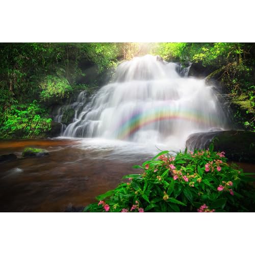 Wasserfall-Aquarium-Hintergrund, Regenwald unter Sonnenstrahlen, Regenbögen, Terrarienhintergrund, Dschungelwald, Bachthema, Aquarium-Hintergrund, für Reptilien, Lebensraum, Vinyl, 183 x 61 cm Wasserfall-Aquarium-Hintergrund, Regenwald unter Sonnenstrahlen, Regenbögen, Terrarienhintergrund, Dschungelwald, Bachthema, Aquarium-Hintergrund, für Reptilien, Lebensraum, Vinyl, 183 x 61 cm von Riivvdise