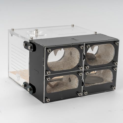 Ameisenfarm Terrarium aus Acryl - Formicarium Ameisennest Lebensraumsystem, Beobachtungskammern für lebende Ameisen & Königin - pädagogisch für Erwachsene Ameisenfarm Terrarium aus Acryl - Formicarium Ameisennest Lebensraumsystem, Beobachtungskammern für lebende Ameisen & Königin - pädagogisch für Erwachsene von Rimsunta