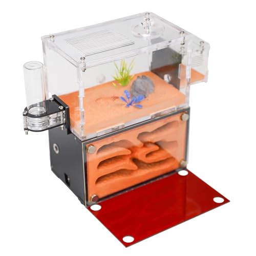 Rimsunta Ameisenfarm für Erwachsene - Studium des Ameisenverhaltens, Ameisennest, Terrarium, Pädagogisches Formicarium für Lebende Ameisen und Königin, Zwei Etagen Rimsunta Ameisenfarm für Erwachsene - Studium des Ameisenverhaltens, Ameisennest, Terrarium, Pädagogisches Formicarium für Lebende Ameisen und Königin, Zwei Etagen von Rimsunta