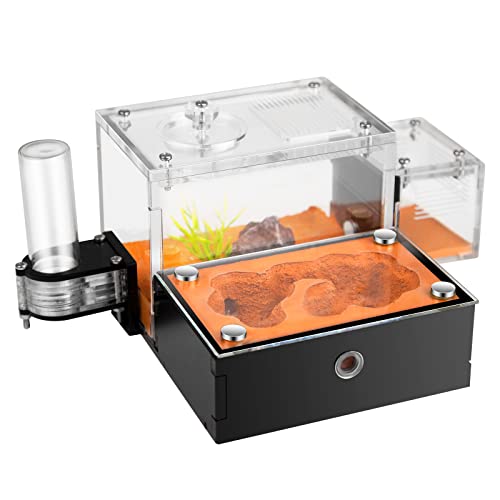 Rimsunta Formicarium Ameisenfarm Lebensraum für lebende Ameisen und Königinnen, Lernset für Erwachsene für Ameisenverhaltensstudium von Rimsunta