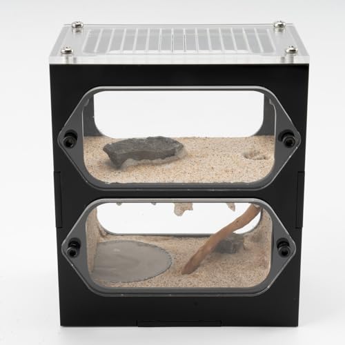Rimsunta Ameisenfarm Habitat transparentes Acryl-Beobachtungsterrarium Nest mit Aktivitätskammer für Anfänger Ameisenhalter von Rimsunta