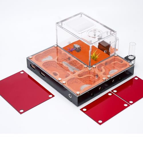 Rimsunta Ökologisches Ameisennest – Modularer Ameisenfarm mit magnetischen Glasabdeckungen, Feuchtigkeitskontrolle, Belüftung und Erweiterungsöffnungen – perfekt für Ameisenliebhaber (27 x 25 x 13 cm) Rimsunta Ökologisches Ameisennest – Modularer Ameisenfarm mit magnetischen Glasabdeckungen, Feuchtigkeitskontrolle, Belüftung und Erweiterungsöffnungen – perfekt für Ameisenliebhaber (27 x 25 x 13 cm) von Rimsunta