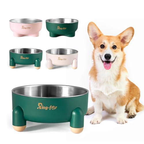 Erhöhter Katzennapf, Edelstahl, Katzen- und Hundefutter, Wassernäpfe mit vier Beinen, rutschfeste und leise Gummiunterseite, doppellagiges, abnehmbares Design, spülmaschinenfest, 680 ml, Grün Erhöhter Katzennapf, Edelstahl, Katzen- und Hundefutter, Wassernäpfe mit vier Beinen, rutschfeste und leise Gummiunterseite, doppellagiges, abnehmbares Design, spülmaschinenfest, 680 ml, Grün von Ring-far