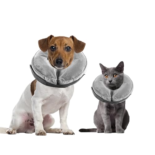 Rinling Hundekegel-Halsband, aufblasbarer Hundekegel, weicher schützender Hundekegelhalsband nach Operationen, Alternative E-Halsband, Kegel für Hunde und Katzen, Grau, XS (12,7–20,3 cm) von Rinling