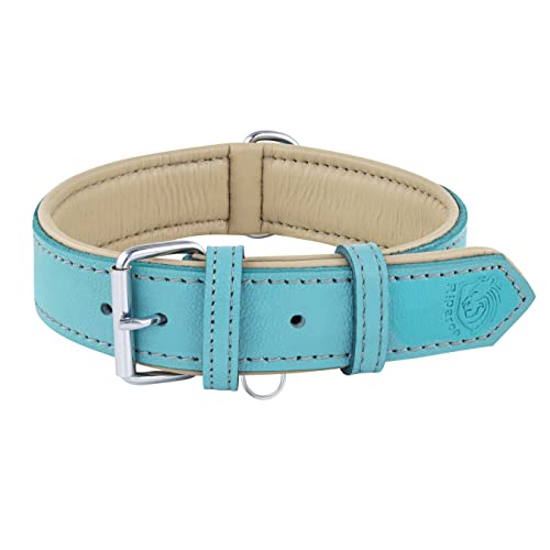 Riparo Echtes Leder Verstellbares Hundehalsband mit Zusätzlicher Verstärkung (L: 3,8CM Breit für 43,2CM - 53,3CM Hals, Aqua) von Riparo Motorsports