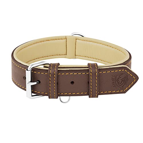 Riparo Echtes Leder Verstellbares Hundehalsband mit Zusätzlicher Verstärkung (M: 2,5CM Breit für 34,3CM - 44,5CM Hals, Braun) von Riparo Motorsports