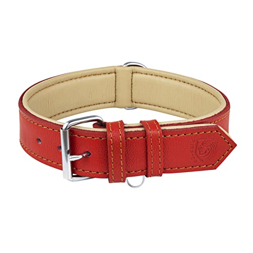 Riparo Echtes Leder Verstellbares Hundehalsband mit Zusätzlicher Verstärkung (XXL: 5CM Breit für 60,9CM - 73,7CM Hals, Rot) von Riparo Motorsports