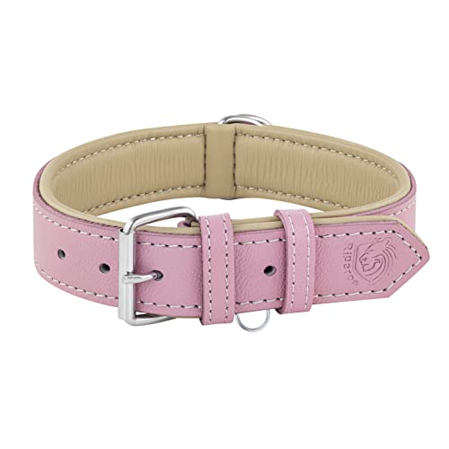 Riparo Hundehalsband, gepolstert, echtes Leder, verstellbar, strapazierfähig (XL: 4,5CM Breit für 53,4CM - 63,5CM Hals, Rosa) von Riparo Motorsports