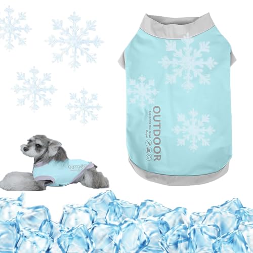 Kühlweste für Hunde, leichte, atmungsaktive Eisweste, sicherer Mantel für den Sommer, Sonnenschutz für kleine Hunde, drinnen und draußen und Aktivitäten (Mintgrün, XXL) von Risipu