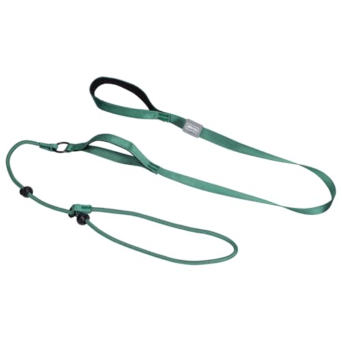 Retrieverleine für Hunde mit bequemem, gepolstertem Griff, 15 m, Haustier-Trainingsleine für draußen, Wandern, Spielen, Camping oder Garten (3 Farben) (grün) von Risipu