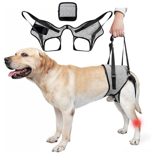 Risipu Hundegeschirr zum Heben von Rücken und Beinen, Hundeschlaufenstütze für kleine, mittelgroße und große Hunde, verstellbare Beinstütze mit Hebegriff, weiche Hilfe für Senioren, Verletzte von Risipu
