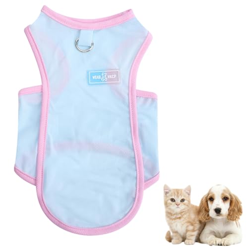 Risipu Kühlweste für Hunde, Premium, atmungsaktiv, Eisseide, Sommerkleidung für Hunde und Katzen, schnell trocknend, ideal für Outdoor-Aktivitäten (Blau, XXL) von Risipu