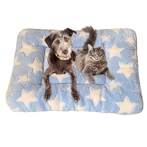 Ristyur Beruhigende Decke für Katzen, warm, maschinenwaschbar, Hundekissen für Hunde, Welpen, Katzen, Welpendecken für Indoor-Katzen und Hunde, Kätzchenbett für Nervosität und Stress Ristyur Beruhigende Decke für Katzen, warm, maschinenwaschbar, Hundekissen für Hunde, Welpen, Katzen, Welpendecken für Indoor-Katzen und Hunde, Kätzchenbett für Nervosität und Stress von Ristyur