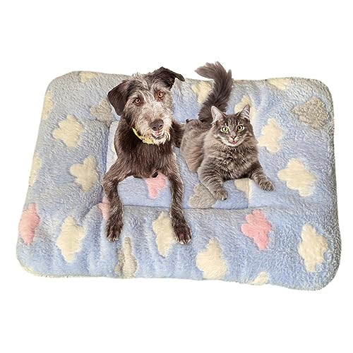 Ristyur Beruhigende Katzendecke, Kätzchen-Decken für Kätzchen im Innenbereich – Katzenkissen für Nervosität und Stress, kleine Haustierdecke für Indoor-Katzen und Hunde, Hundekissen Ristyur Beruhigende Katzendecke, Kätzchen-Decken für Kätzchen im Innenbereich – Katzenkissen für Nervosität und Stress, kleine Haustierdecke für Indoor-Katzen und Hunde, Hundekissen von Ristyur