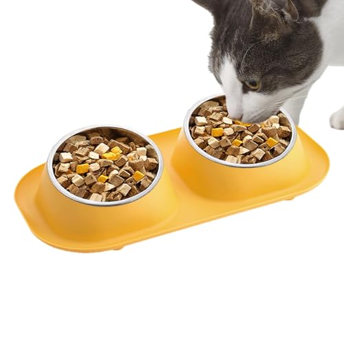 Ristyur Hundefutternapf | Doppelschüssel aus Edelstahl - Wiederverwendbare Futternäpfe für Wasser und Futter für Katzen, Welpen, kleine und mittelgroße Haustiere von Ristyur