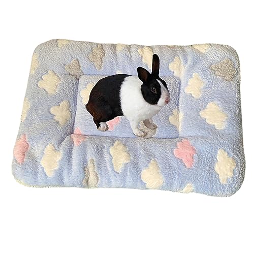 Ristyur Katzendecken für Indoor-Katzen – weiche und maschinenwaschbare Katzendecken, Hundekissen für Hunde, Welpen, Katzen, Welpendecken für Indoor-Katzen und Hunde, Kätzchenbett für Nervosität und Ristyur Katzendecken für Indoor-Katzen – weiche und maschinenwaschbare Katzendecken, Hundekissen für Hunde, Welpen, Katzen, Welpendecken für Indoor-Katzen und Hunde, Kätzchenbett für Nervosität und von Ristyur
