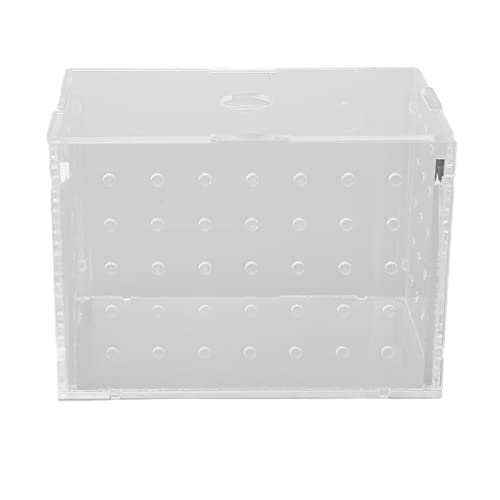 Fish Breeder Box, Aquarium Hatchery Incubator Tank Schutz aus Acryl, Platzsparend für Baby-Clownfische für Aquarium für Babygarnelen (11 * 7 * 8CM) von Riuulity