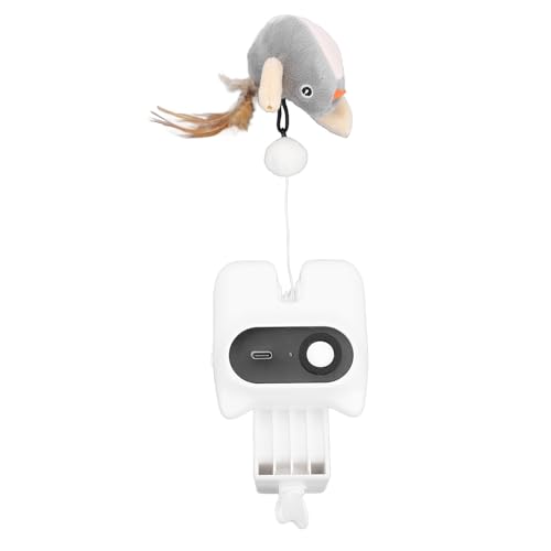 Riuulity Automatisches Katze Hanging Toy, Hanging Teaser für Haustierkatzen, Austauschbares Katzenspielzeug, Einziehbares Interaktives Katzenplüschspielzeug mit Flexibles Design, Fördern von Riuulity