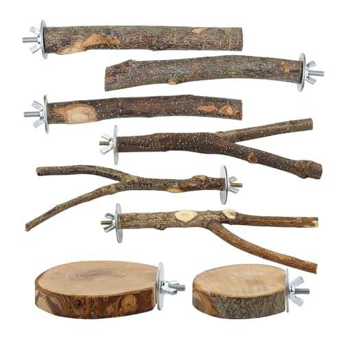 8-teiliges Set Vogelsitzstangen aus Naturholz, Papageienständer aus Holz mit Gabelspielzeug, hängende Plattform mit mehreren Zweigen, Ammock Swing - Geeignet für Aras, Sittiche, Wellensittiche 8-teiliges Set Vogelsitzstangen aus Naturholz, Papageienständer aus Holz mit Gabelspielzeug, hängende Plattform mit mehreren Zweigen, Ammock Swing - Geeignet für Aras, Sittiche, Wellensittiche von Rliguanrui