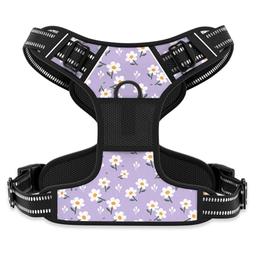 Rnivvi Hundegeschirr, niedliche Blume, kein Ziehen, extra klein, reflektierend, für Welpen, Kätzchen, verstellbare Hundeweste für kleine Hunde, Katzen, Haustiergeschirr mit leicht zu kontrollierendem Rnivvi Hundegeschirr, niedliche Blume, kein Ziehen, extra klein, reflektierend, für Welpen, Kätzchen, verstellbare Hundeweste für kleine Hunde, Katzen, Haustiergeschirr mit leicht zu kontrollierendem von Rnivvi