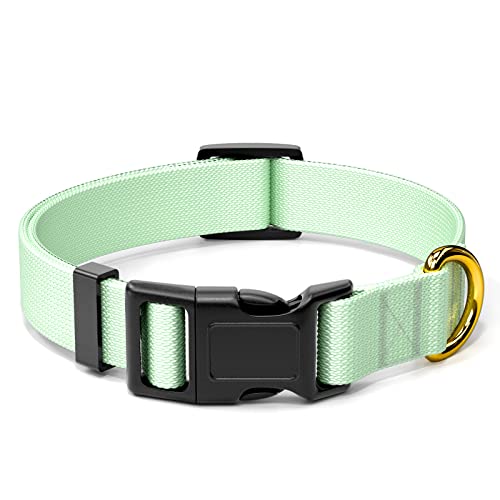 Rnivvi Hundehalsband, Verstellbares grünes Hundehalsband für große Hunde, Klassische robuste Haustierhalsbänder mit Schnellverschluss-Schnalle zum Spazierengehen, Länge 2.5 cm Breite von Rnivvi