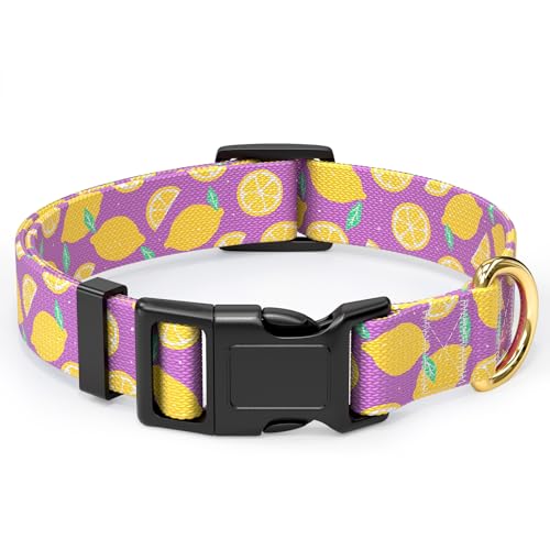Rnivvi Hundehalsband, verstellbares Hundehalsband für kleine Hunde, niedliches Welpenhalsband für Jungen und Mädchen, weiche, robuste Haustierhalsbänder mit Schnellverschluss-Schnalle zum Rnivvi Hundehalsband, verstellbares Hundehalsband für kleine Hunde, niedliches Welpenhalsband für Jungen und Mädchen, weiche, robuste Haustierhalsbänder mit Schnellverschluss-Schnalle zum von Rnivvi