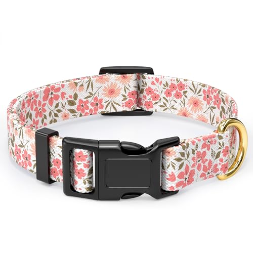 Rnivvi Hundehalsband, verstellbares Hundehalsband für kleine Hunde, niedliches Welpenhalsband für Jungen und Mädchen, weiche, robuste Haustierhalsbänder mit Schnellverschluss-Schnalle zum Rnivvi Hundehalsband, verstellbares Hundehalsband für kleine Hunde, niedliches Welpenhalsband für Jungen und Mädchen, weiche, robuste Haustierhalsbänder mit Schnellverschluss-Schnalle zum von Rnivvi
