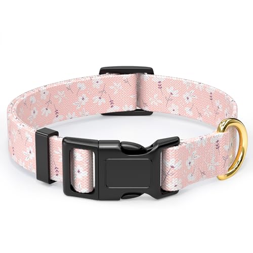 Rnivvi Hundehalsband, verstellbares Hundehalsband für kleine Hunde, niedliches Welpenhalsband für Jungen und Mädchen, weiche, robuste Haustierhalsbänder mit Schnellverschluss-Schnalle zum Rnivvi Hundehalsband, verstellbares Hundehalsband für kleine Hunde, niedliches Welpenhalsband für Jungen und Mädchen, weiche, robuste Haustierhalsbänder mit Schnellverschluss-Schnalle zum von Rnivvi