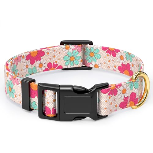 Rnivvi Hundehalsband für kleine Hunde, niedliches, strapazierfähiges, verstellbares Welpenhalsband mit Schnellverschluss-Schnalle für Mädchen und Frauen, Haustierzubehör zum Spazierengehen, Laufen, XS Rnivvi Hundehalsband für kleine Hunde, niedliches, strapazierfähiges, verstellbares Welpenhalsband mit Schnellverschluss-Schnalle für Mädchen und Frauen, Haustierzubehör zum Spazierengehen, Laufen, XS von Rnivvi