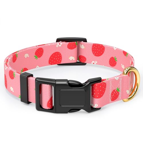 Rnivvi Hundehalsband für kleine Hunde, niedliches, strapazierfähiges, verstellbares Welpenhalsband mit Schnellverschluss-Schnalle für Mädchen und Frauen, Haustierzubehör zum Spazierengehen, Laufen, XS Rnivvi Hundehalsband für kleine Hunde, niedliches, strapazierfähiges, verstellbares Welpenhalsband mit Schnellverschluss-Schnalle für Mädchen und Frauen, Haustierzubehör zum Spazierengehen, Laufen, XS von Rnivvi