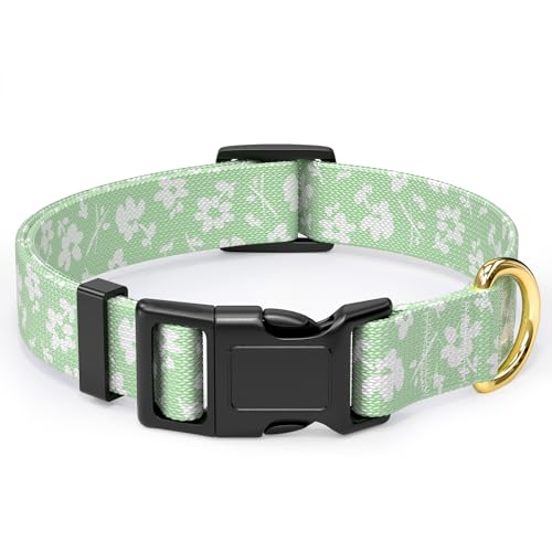 Rnivvi Hundehalsband für kleine Hunde, niedliches Blumenmuster, strapazierfähig, verstellbar, Welpenhalsband mit Schnellverschluss-Schnalle für Mädchen und Frauen, Haustierzubehör zum Spazierengehen, Rnivvi Hundehalsband für kleine Hunde, niedliches Blumenmuster, strapazierfähig, verstellbar, Welpenhalsband mit Schnellverschluss-Schnalle für Mädchen und Frauen, Haustierzubehör zum Spazierengehen, von Rnivvi