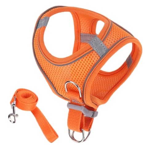 Rnyrn Fluchtsicheres Katzen Geschirr,Katzengeschirr mit Leine | Klein Mittel Groß Haustierzubehör Für Reisen Outdoor von Rnyrn