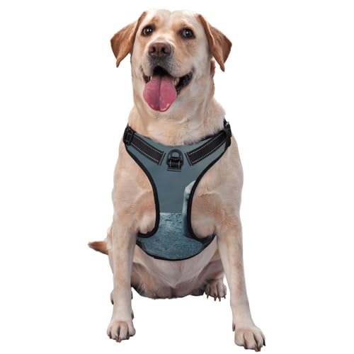 3D-Grafik-Universum Weltraum-Traktionsweste für Haustiere, Hundegeschirr, mittelgroße Hunde, Haustierbedarf, Outdoor, Reisen, Spaziergänge mit dem Hund 3D-Grafik-Universum Weltraum-Traktionsweste für Haustiere, Hundegeschirr, mittelgroße Hunde, Haustierbedarf, Outdoor, Reisen, Spaziergänge mit dem Hund von RoMuka