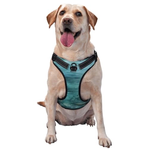 Tranquil Wasser-Traktionsweste für Haustiere, Geschirr, Hundegeschirr, mittelgroße Hunde, Haustierbedarf, Outdoor, Reisen, Spaziergänge mit dem Hund Tranquil Wasser-Traktionsweste für Haustiere, Geschirr, Hundegeschirr, mittelgroße Hunde, Haustierbedarf, Outdoor, Reisen, Spaziergänge mit dem Hund von RoMuka