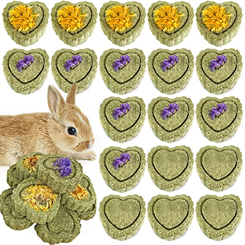 RoadLoo Kaninchen Kauspielzeug, 32 Stück Natur Heu Kauspielzeug für Hasen/Chinchilla/Meerschweinchen/Hamster von RoadLoo