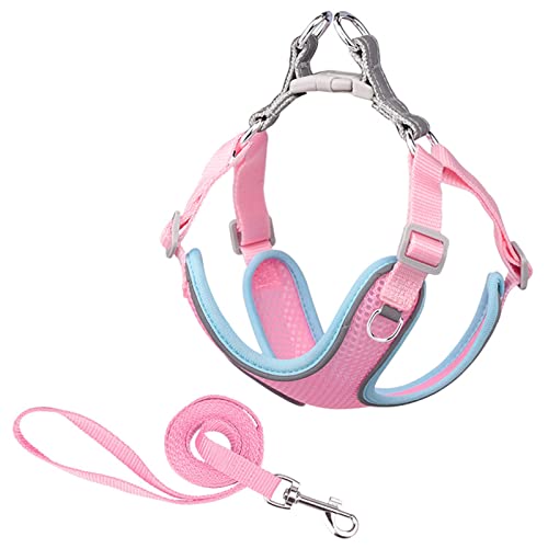 Hunde-Traktionsseil, verstellbar, bissfest, 5 Farben, hohe Zähigkeit, reflektierendes Hunde-Traktionsseil für Kätzchen, Rosa, M Hunde-Traktionsseil, verstellbar, bissfest, 5 Farben, hohe Zähigkeit, reflektierendes Hunde-Traktionsseil für Kätzchen, Rosa, M von Roadoor