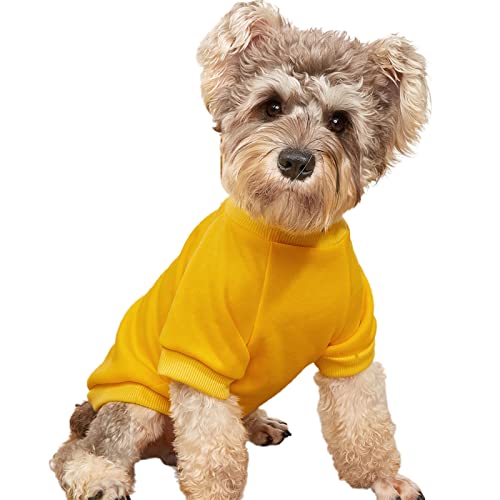Roadoor Haustier Kostüme Auffällige zarte Kanten Polyester Solid Yellow Katzen Kostüme Mantel für zu Hause Gelb S von Roadoor