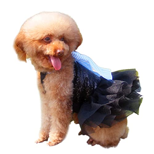 Roadoor Hund Spitzenkleider Auffälliges bequemes Kostüm Welpen Dot Hochzeit Spitzenkleid mit Fliege für Party Blau S Roadoor Hund Spitzenkleider Auffälliges bequemes Kostüm Welpen Dot Hochzeit Spitzenkleid mit Fliege für Party Blau S von Roadoor